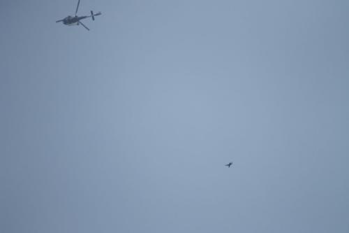 2015-Flugtag R-Huser---161