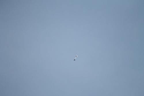 2015-Flugtag R-Huser---167