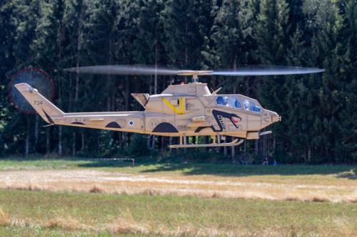 2018-Flugtag E-Sardella Samstag---139