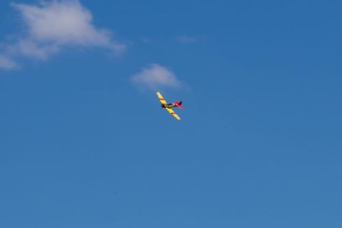 2018-Flugtag E-Sardella Samstag---151