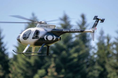 2019-08-03 11-08-06 Loorholz-Flugtage 1200-800