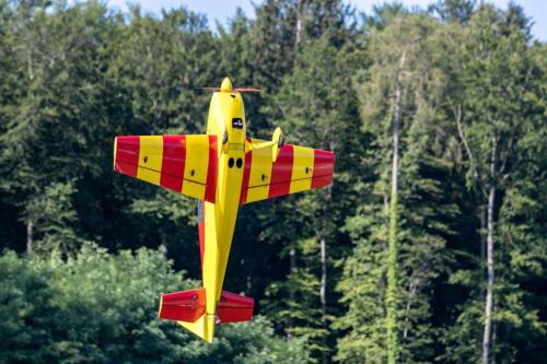 2019-08-04 10-30-06 Loorholz-Flugtage 1200-800