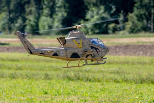 2019-08-04 10-48-46 Loorholz-Flugtage 1200-800