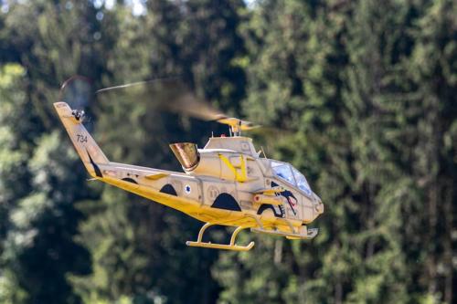 2019-08-04 10-48-47 Loorholz-Flugtage 1200-800