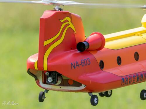 2021-06-12 fruehjahrs helitreffen 171