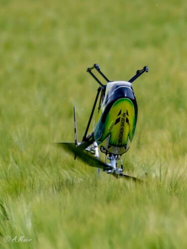 2021-06-12 fruehjahrs helitreffen 182