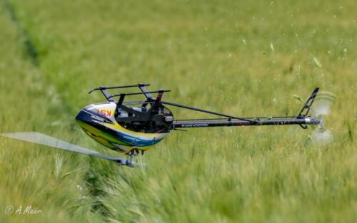 2021-06-12 fruehjahrs helitreffen 185
