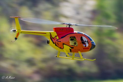 2022.04.16-Loorholz-Flugtage-2010