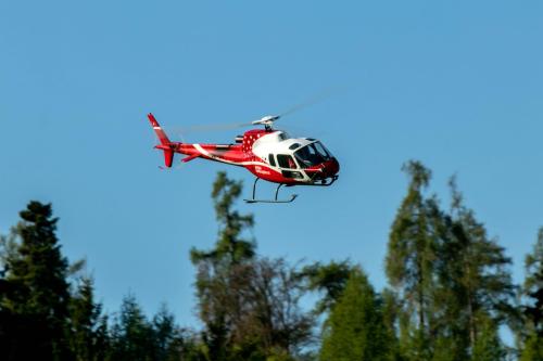 Loorholz-Fruehlingstreff-16.4.-2022-5219