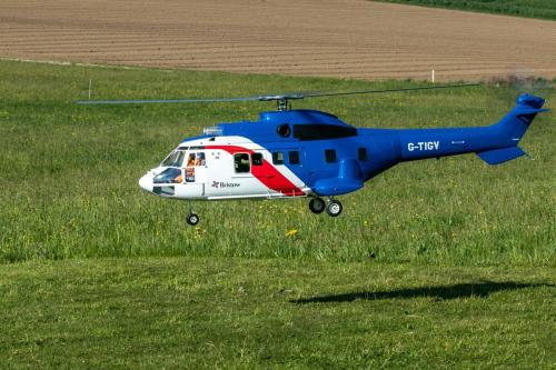 Loorholz-Fruehlingstreff-16.4.-2022-5356