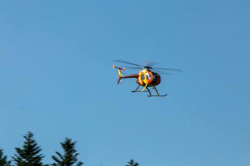 Loorholz-Fruehlingstreff-16.4.-2022-5368
