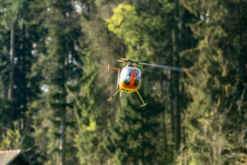 Loorholz-Fruehlingstreff-16.4.-2022-5379
