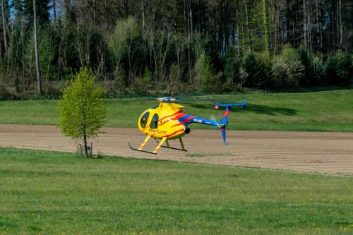 Loorholz-Fruehlingstreff-16.4.-2022-5505