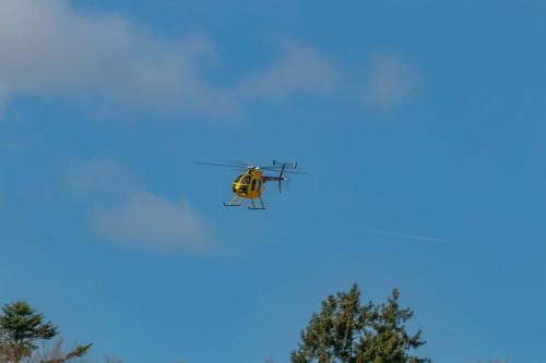 Loorholz-Fruehlingstreff-16.4.-2022-5518