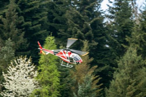Loorholz-Fruehlingstreff-16.4.-2022-5665