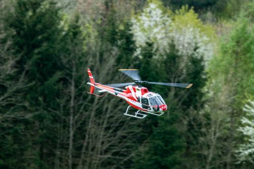 Loorholz-Fruehlingstreff-16.4.-2022-5666