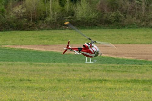 Loorholz-Fruehlingstreff-16.4.-2022-5688