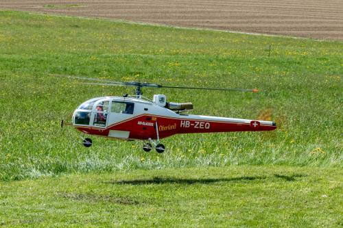 Loorholz-Fruehlingstreff-16.4.-2022-5841