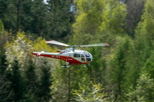 Loorholz-Fruehlingstreff-16.4.-2022-5854