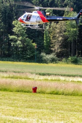 XXL-Flugtag-im-Loorholz-3.6.-2023-8602