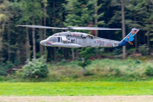 Loorholz R6 L224320230805122042