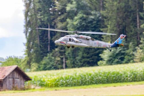 Loorholz R6 L224520230805122046