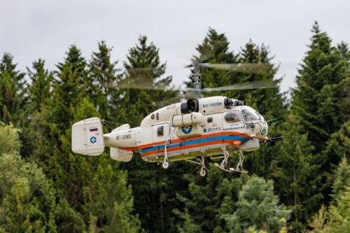 Loorholz R6 L246605.-August-2023143819