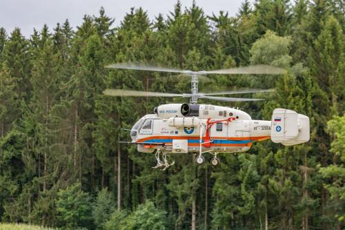 Loorholz R6 L248520230805144006