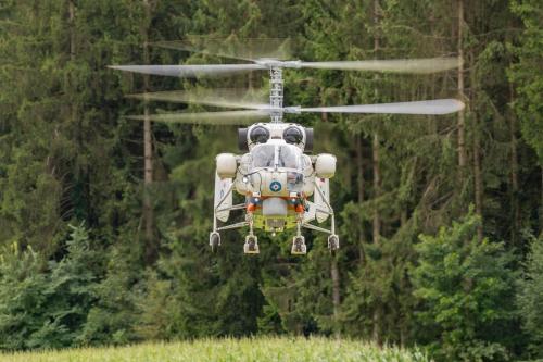 Loorholz R6 L248920230805144016