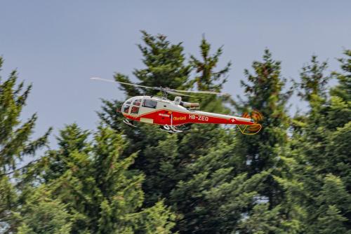 Loorholz R6 L256020230805150629