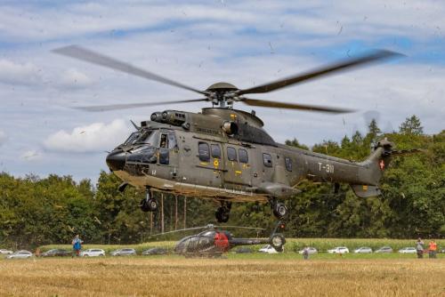 Loorholz R6 L257405.-August-2023150949