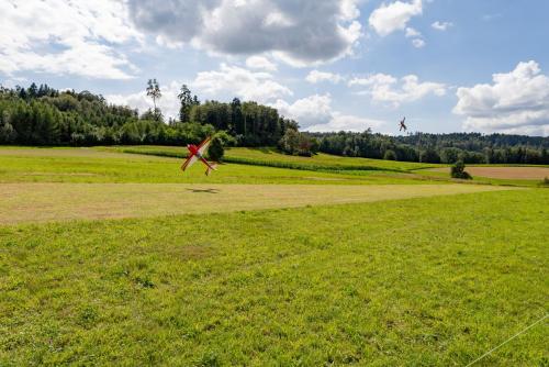 Loorholz R6 L274305.-August-2023154205