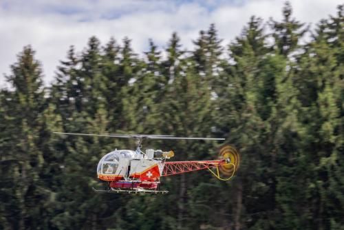 Loorholz R6 L278705.-August-2023155821