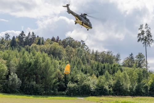 Loorholz R6 L283005.-August-2023160913