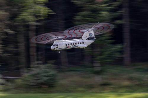 Loorholz R6 L286905.-August-2023163300