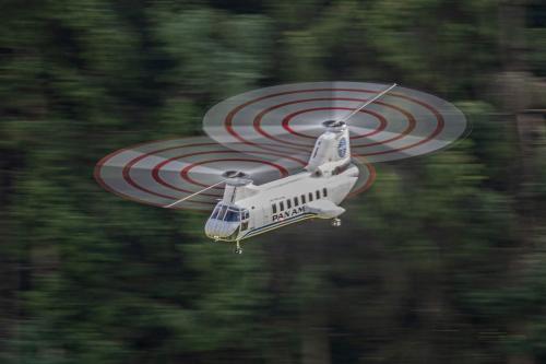 Loorholz R6 L287120230805163301