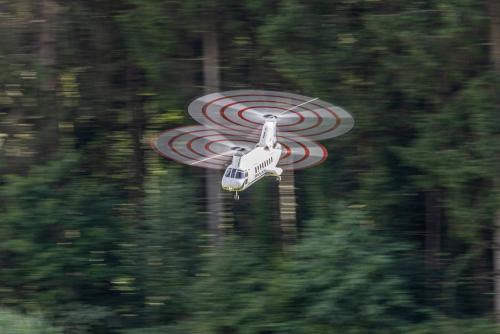 Loorholz R6 L287220230805163302