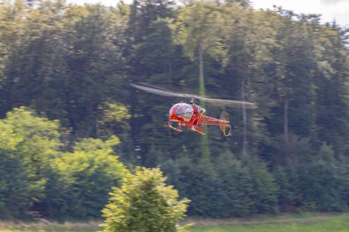 Loorholz R6 L291020230805165328