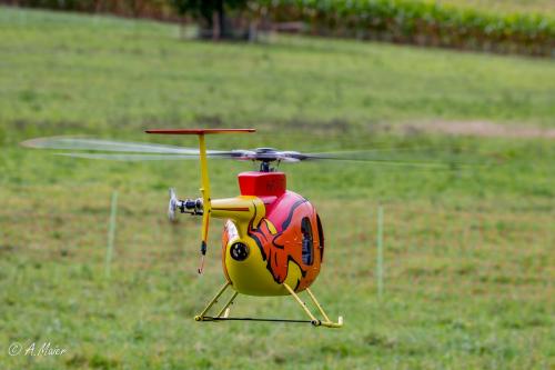 2023.09.23-Loorholz-Scale-Heli-0864