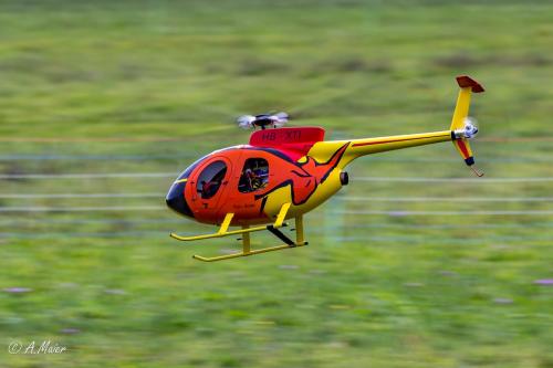 2023.09.23-Loorholz-Scale-Heli-0876