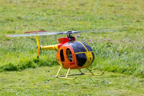 2023.09.23-Loorholz-Scale-Heli-0885